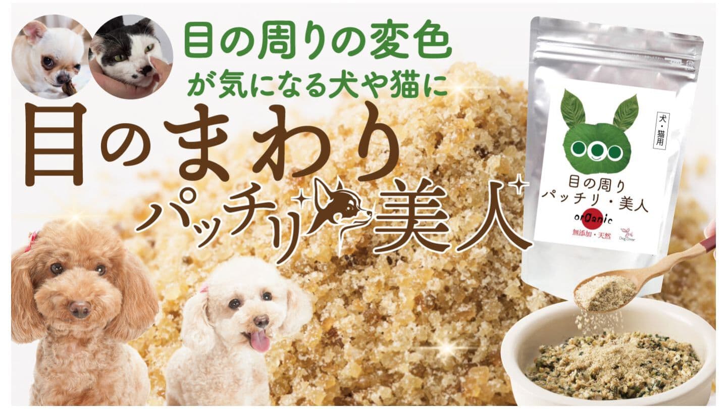目の周りパッチリ美人